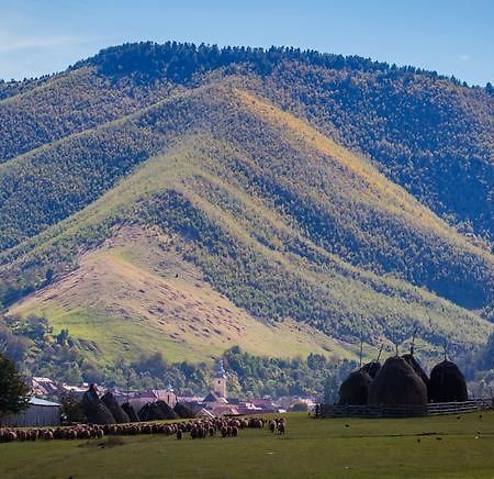 Picturesque Village In Transylvania Răşinari Pokoj fotografie