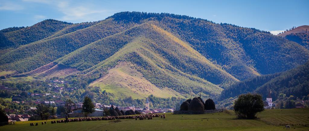 Picturesque Village In Transylvania Răşinari Pokoj fotografie